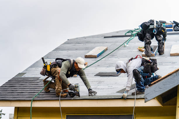 Professional Roofing technician working in East Branch, NY